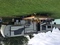 Click to view classifieds HAOUXZYF