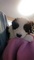 Click to view classifieds CUTYEUEY