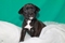 Click to view classifieds LHPOXSKX