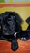 Click to view classifieds QLPOOLLK