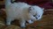 Click to view classifieds DCTGDZMJ