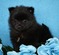 Click to view classifieds DFZWUFSD