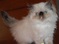 Click to view classifieds SVBCRMEZ