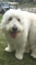 Click to view classifieds XMWWDEFF