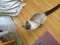 Click to view classifieds NAVHAMKY