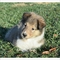 Click to view classifieds XCTFYDEH