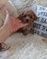 Click to view classifieds VFTQKNFL