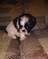 Click to view classifieds LLVYKBPY