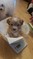 Click to view classifieds CWHSUFVR