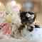 Click to view classifieds CLBLQNXT