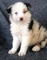 Click to view classifieds RVJMBSLA