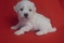 Click to view classifieds RHNQWHHG