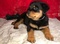 Click to view classifieds ACHJWCGE