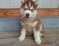Click to view classifieds CTERGHMT