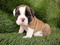 Click to view classifieds YBYUFQDN