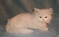 Click to view classifieds KTJLFQKO