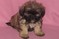 Click to view classifieds UFQYVQKO