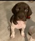 Click to view classifieds XEMLWOYV