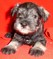 Click to view classifieds RCYLORLG