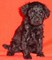 Click to view classifieds VTXMUWJK