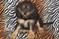 Click to view classifieds WZSNWWDM