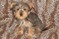Click to view classifieds SNSEVKAO