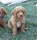 Click to view classifieds BTAUSKKY