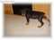 Click to view classifieds UZUGQJNV