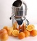 Click to view classifieds VGAPAKFX