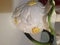 Click to view classifieds JDTOQVGY
