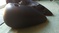 Click to view classifieds ACCBATTB