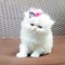 Click to view classifieds FLDXMQGK