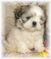 Click to view classifieds UHBKQVCM