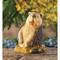 Click to view classifieds LTCQBJGZ