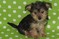 Click to view classifieds EQNLOMXY