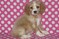 Click to view classifieds ZMYOATLL