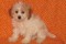 Click to view classifieds HCBKPXGJ