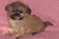 Click to view classifieds OGNELLFJ