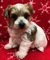 Click to view classifieds PZCPZZBW
