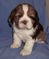 Click to view classifieds XLEJRNQX
