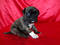 Click to view classifieds DXUFKQSA