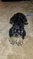 Click to view classifieds MTZCCVKJ