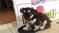 Click to view classifieds STVDVEHL