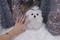 Click to view classifieds EGUDXQZY