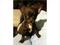 Click to view classifieds USJQVROD