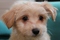 Click to view classifieds HCOJLSEO