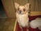 Click to view classifieds ZVYTVDFA