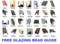 Click to view classifieds PTRAPLLY