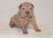 Click to view classifieds JWKERPVG