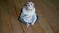 Click to view classifieds BCJXOFVL
